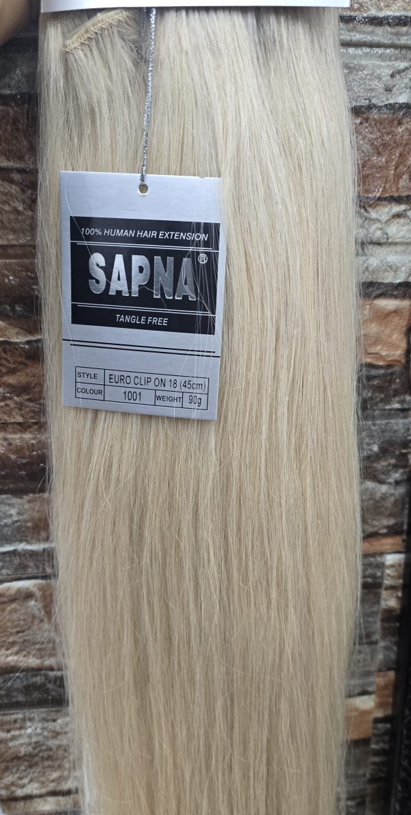 Sapna 100% human hair Euro clip on extensions 18 inches 1001